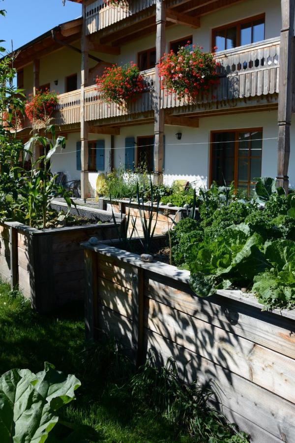 Gaestehaus Wild-Schuetz Schwangau Exterior photo