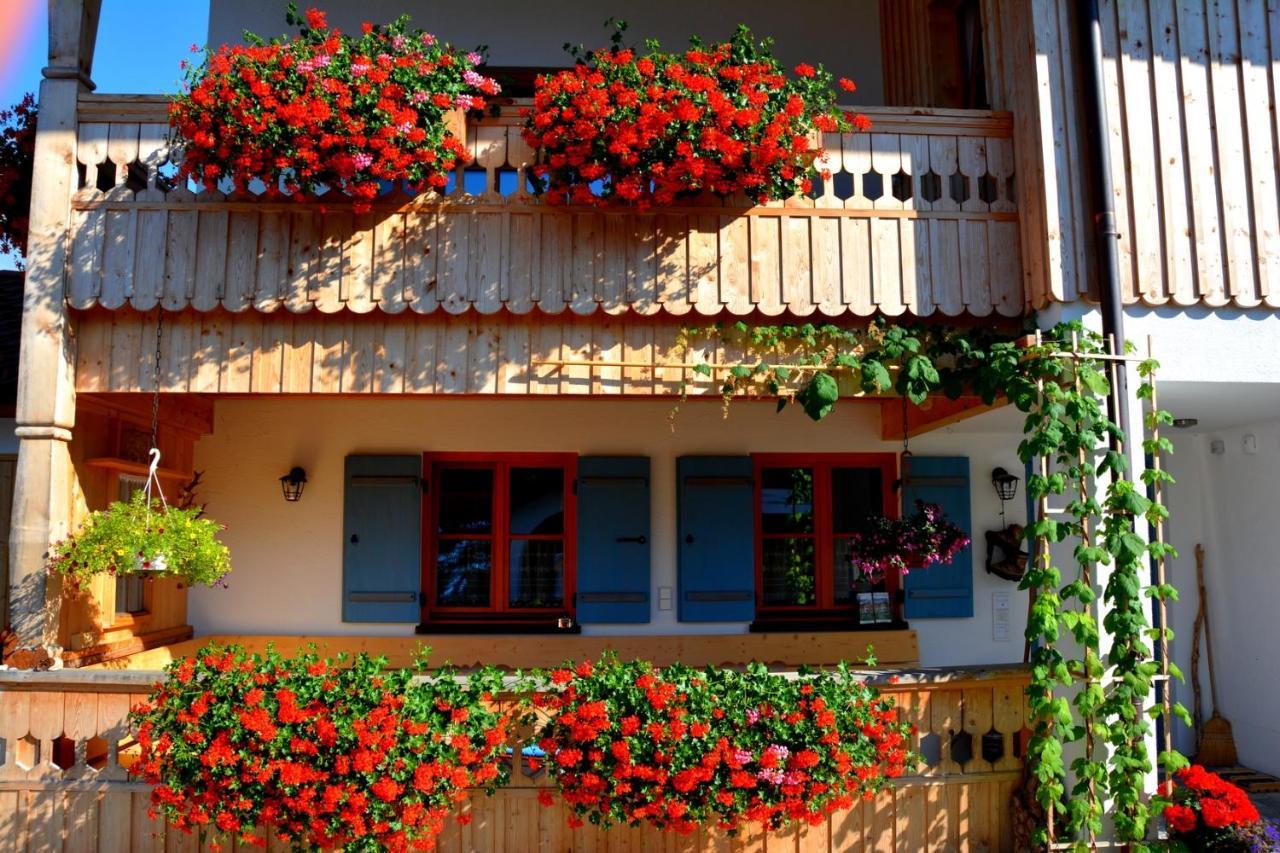 Gaestehaus Wild-Schuetz Schwangau Exterior photo